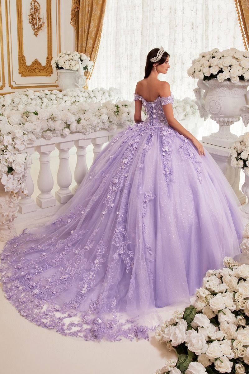 Cinderella Divine 15717