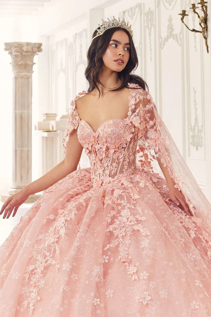 Cinderella Divine 15719