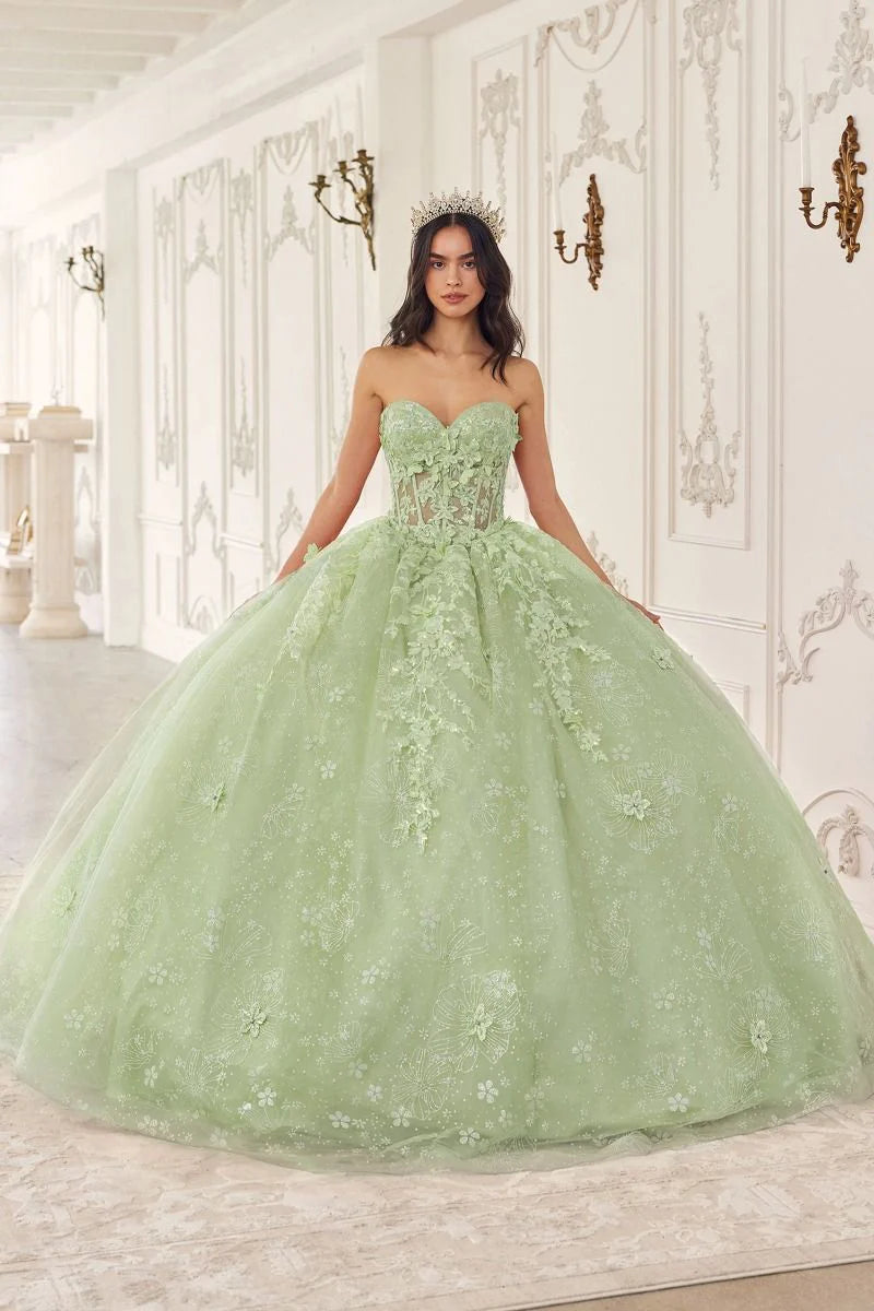 Cinderella Divine 15719