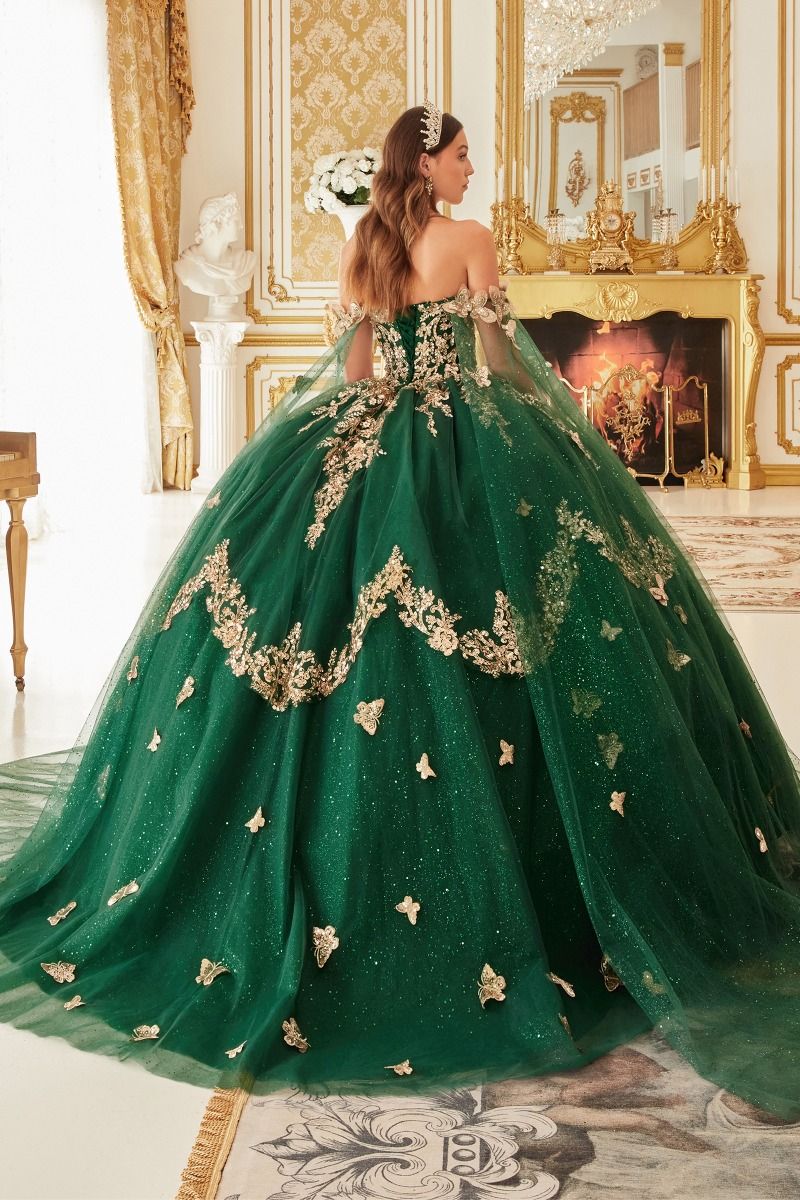 Cinderella Divine 15721