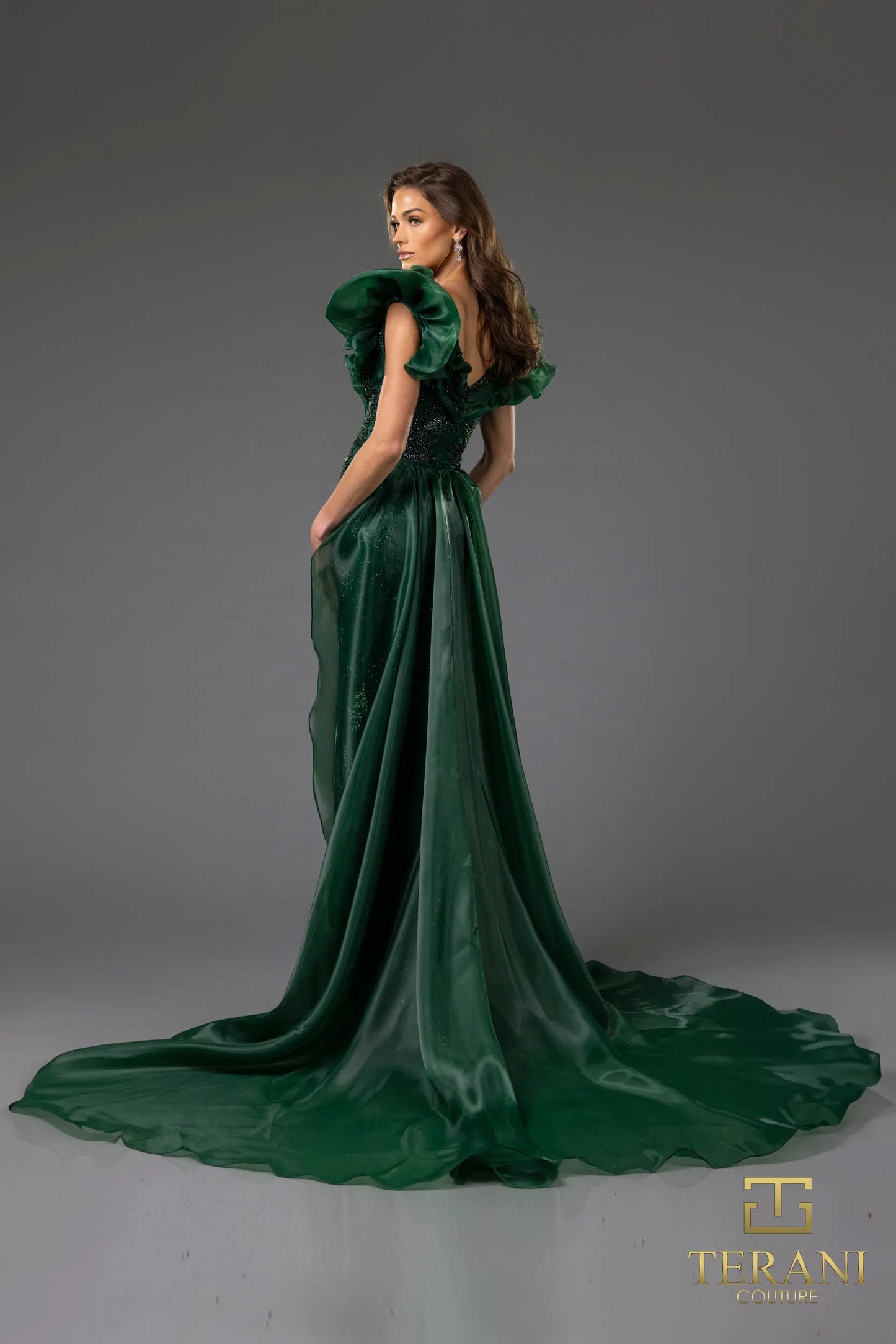 Terani Couture 251GL4357 V-neck Puff Sleeves Beaded Tulle Sheath Pageant Dress