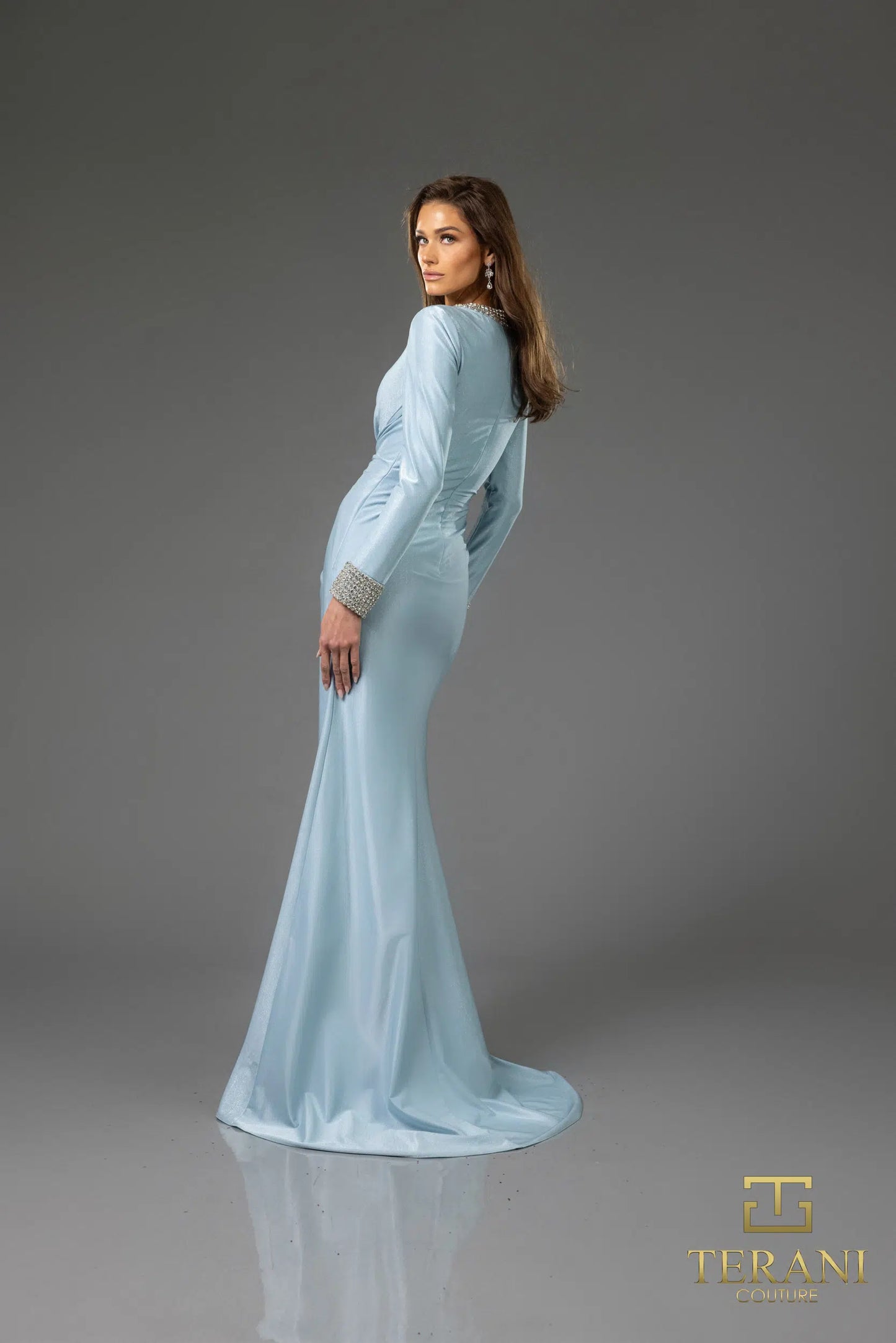 Terani Couture 251M4433 Round Neck Full Sleeves Stretch Metallic Sheath Long Dress