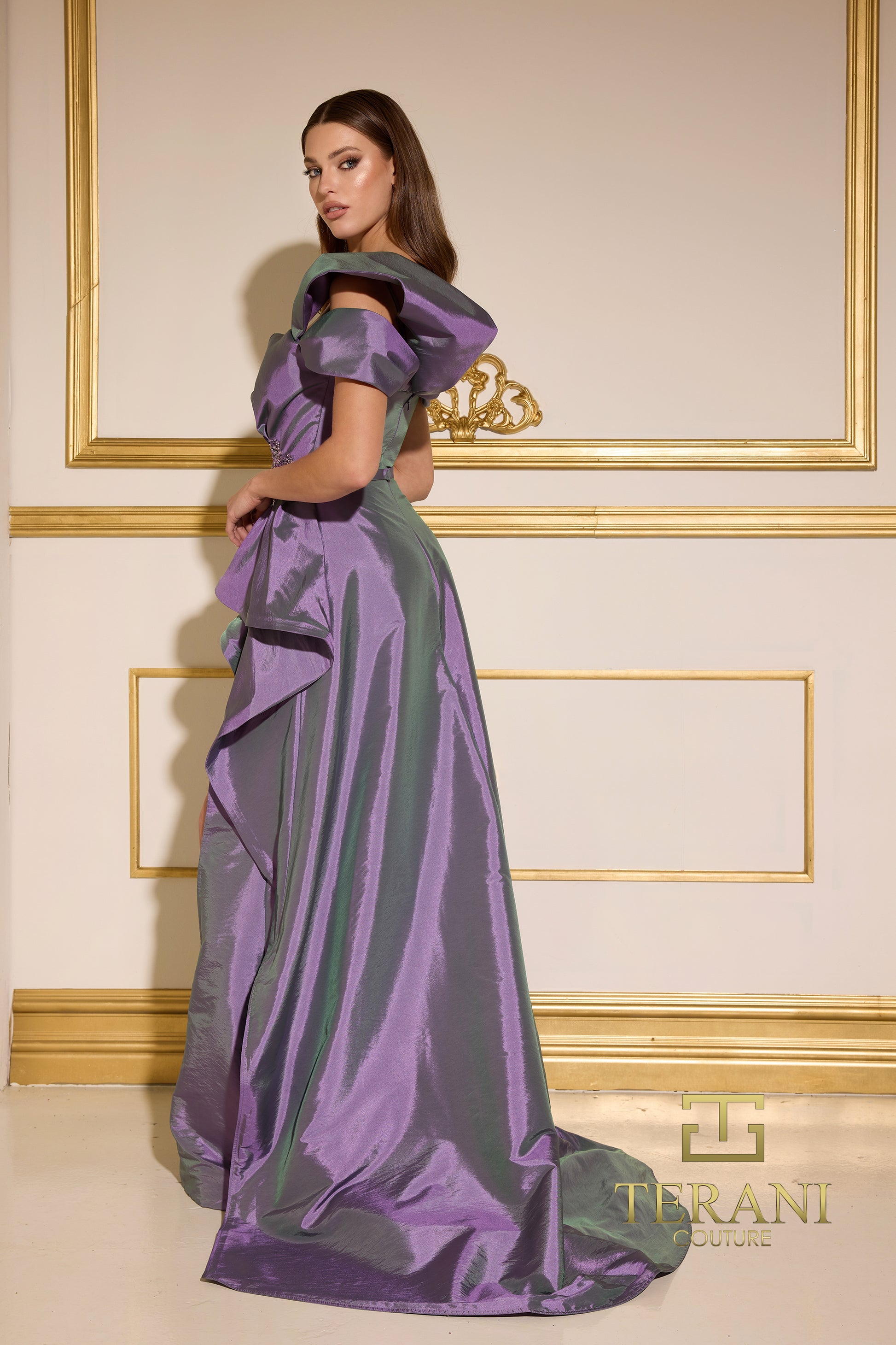 Terani Couture 252E5148 Fit and Flare Long Evening Dress – B Chic Fashions