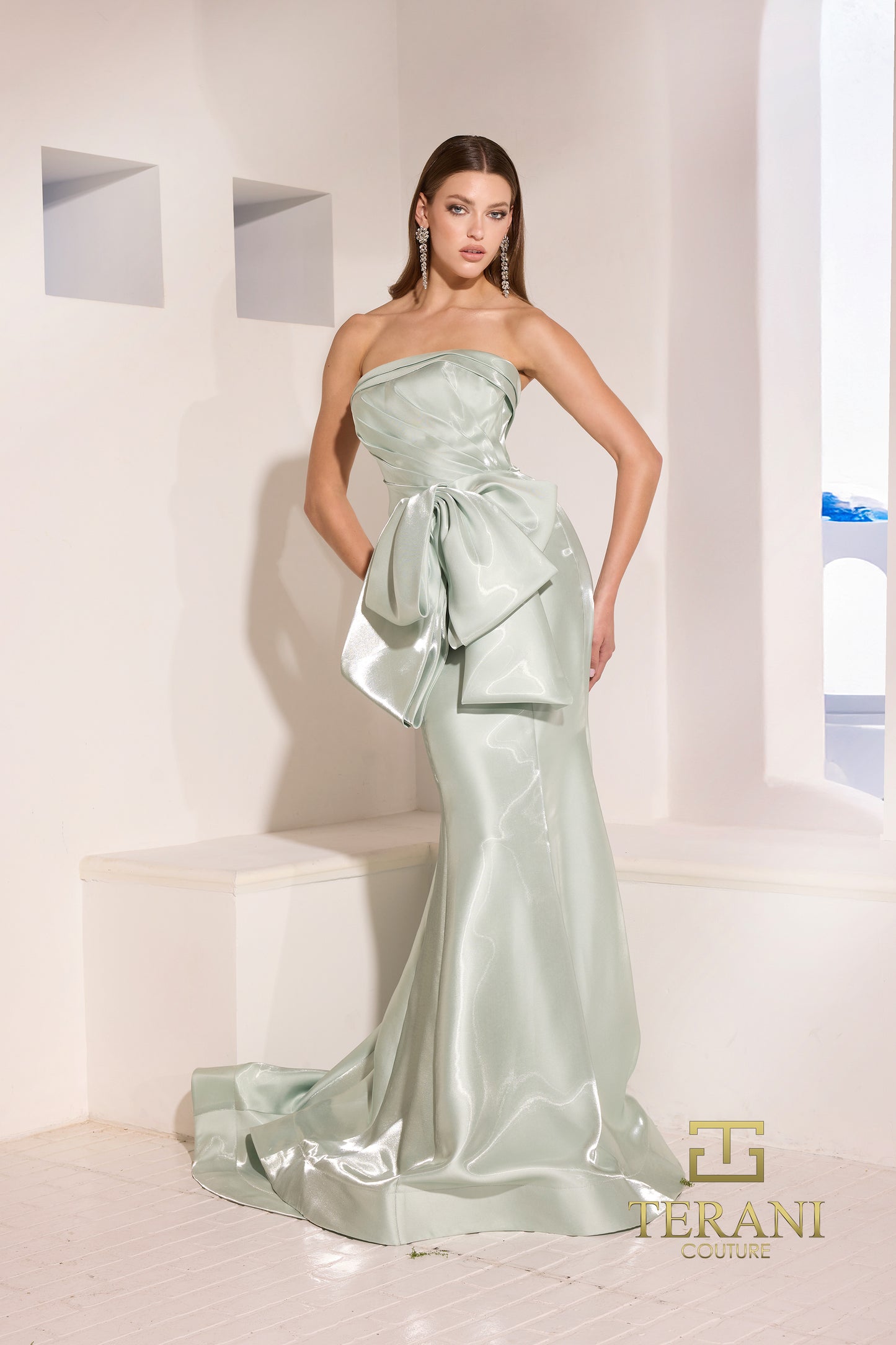 Terani Couture 252E5164
