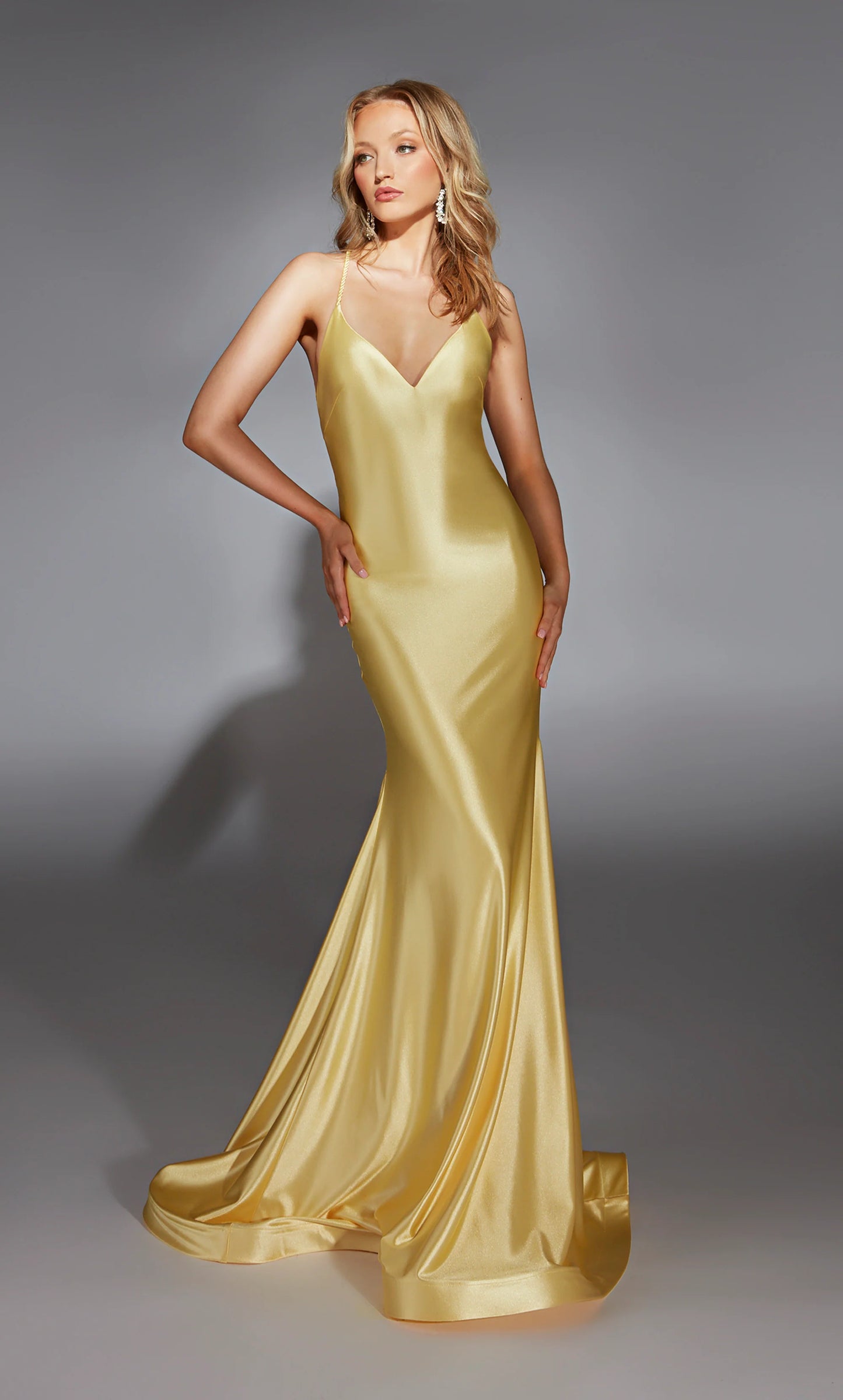 Alyce 61966 Long V-neck Train Fit N Flare Dress