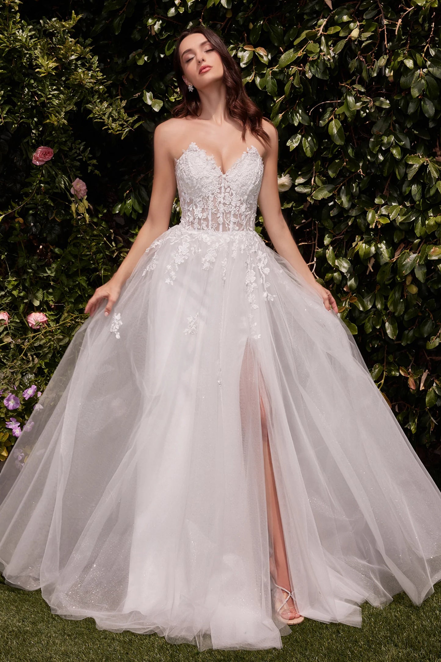 Cinderella Divine C148W