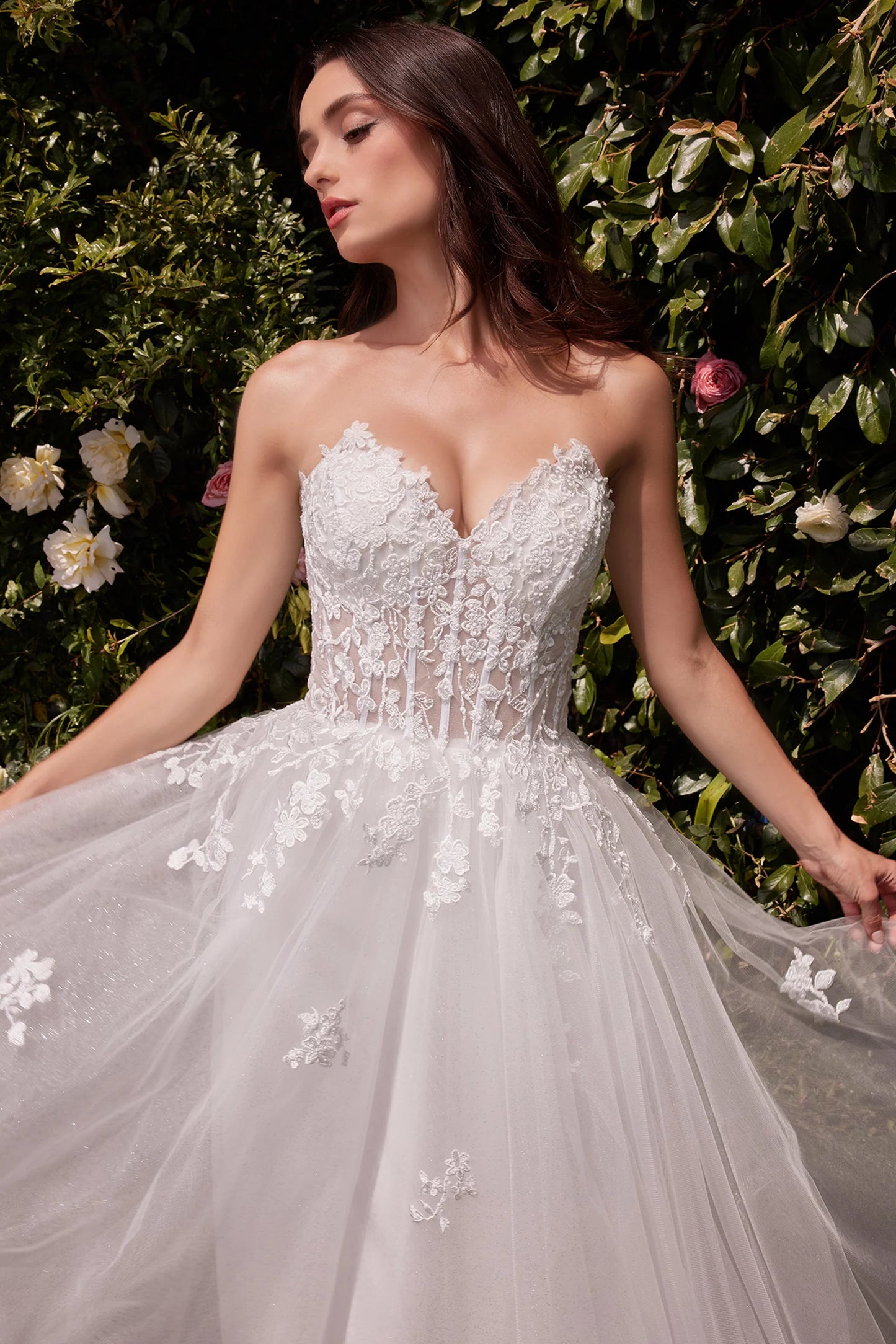Cinderella Divine C148W