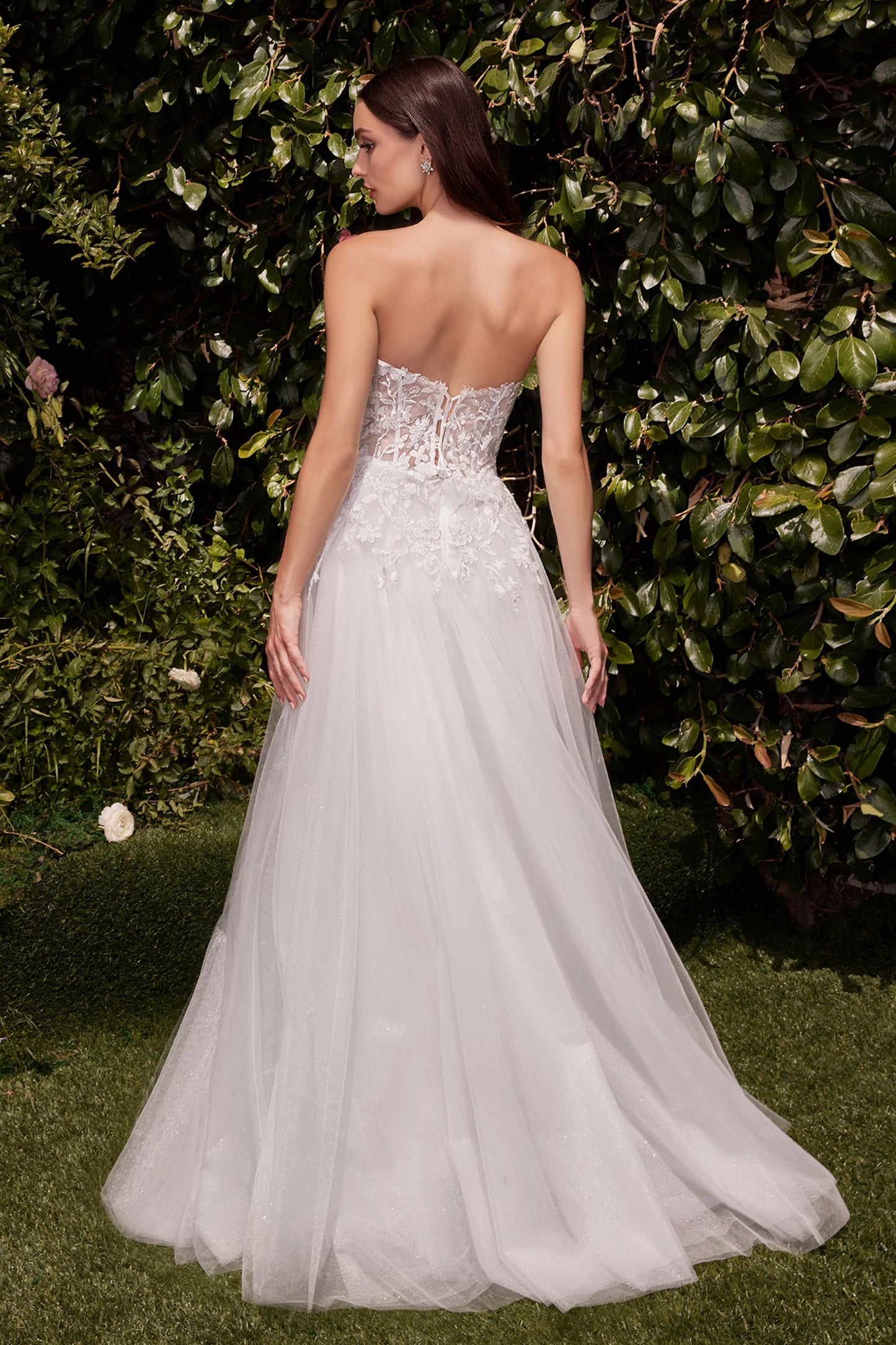 Cinderella Divine C148W