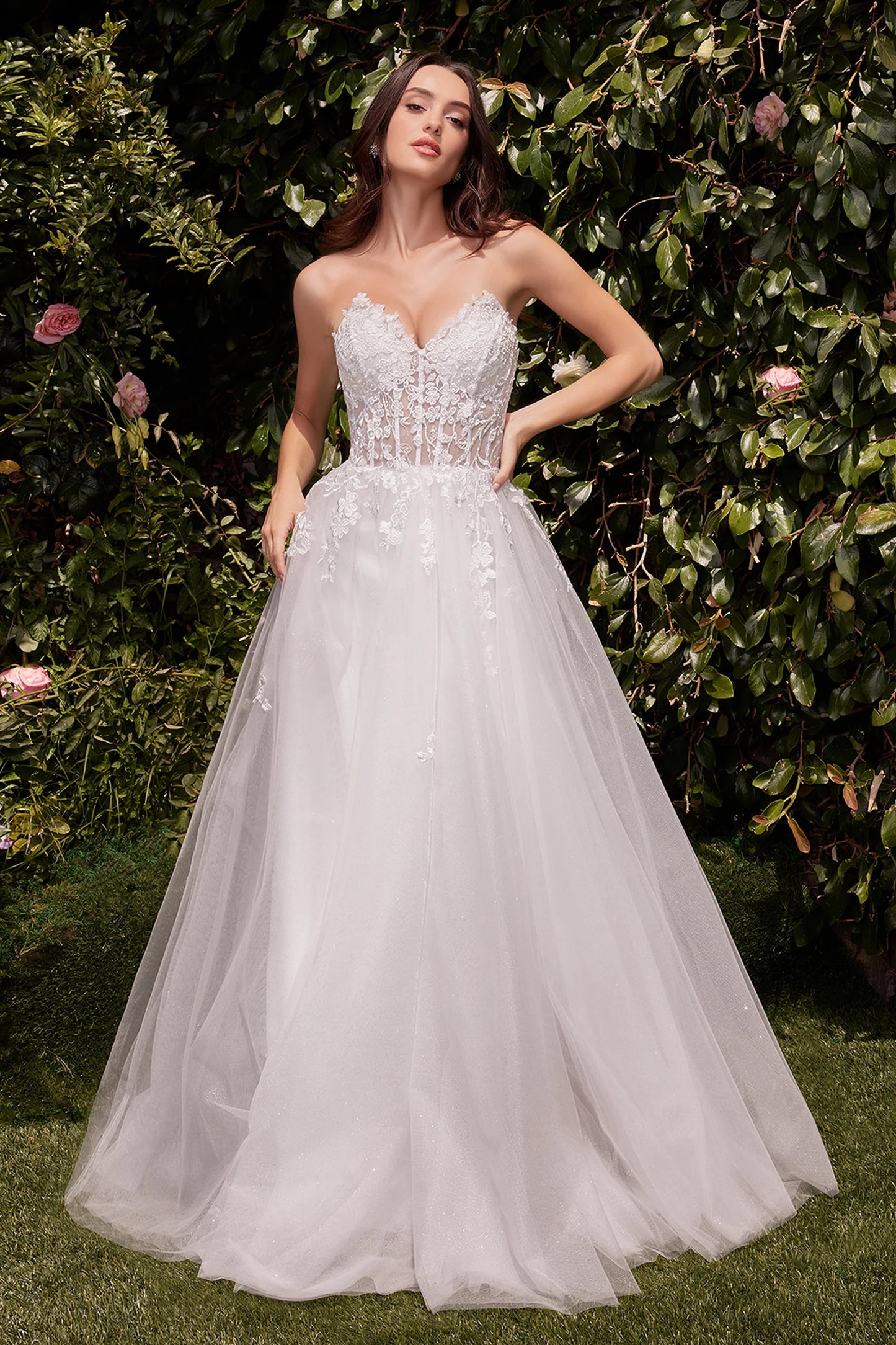 Cinderella Divine C148W
