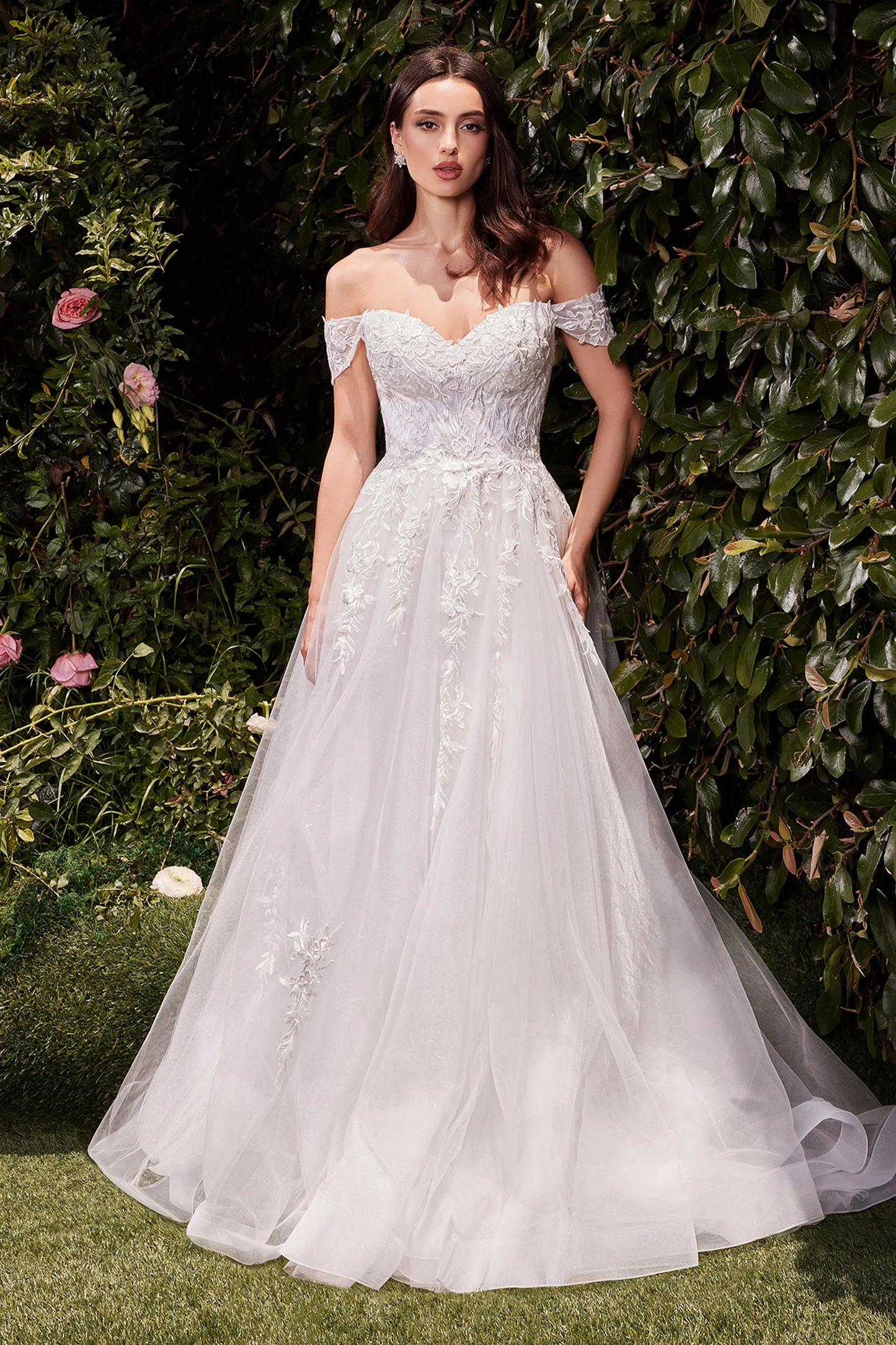Cinderella Divine C159W