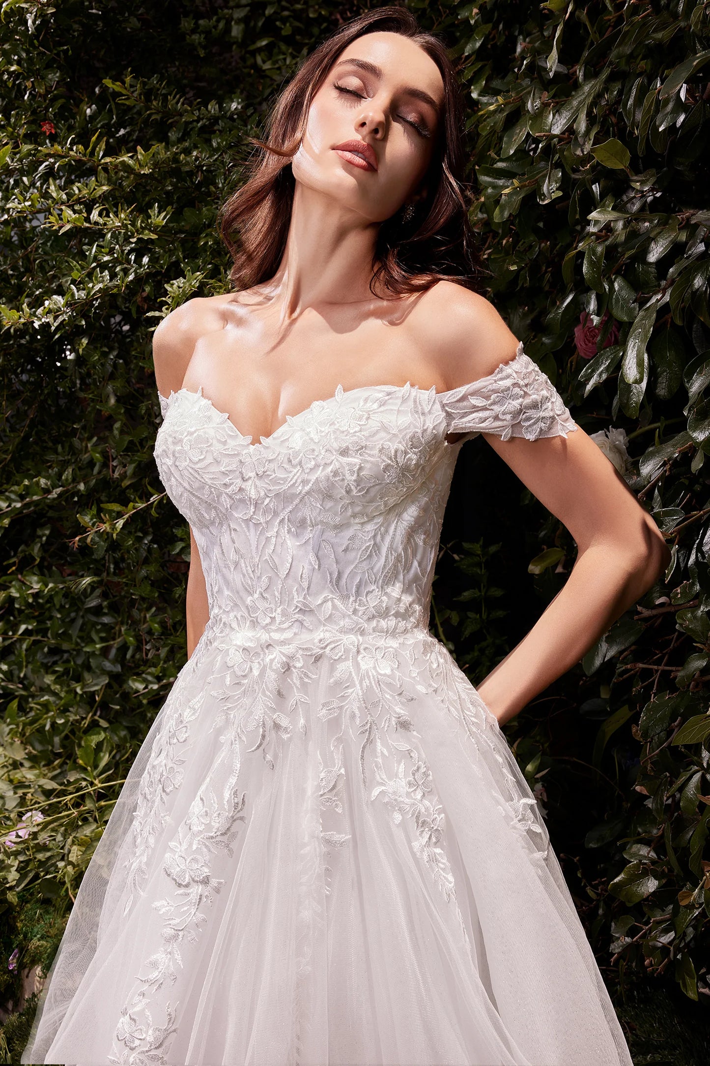 Cinderella Divine C159W