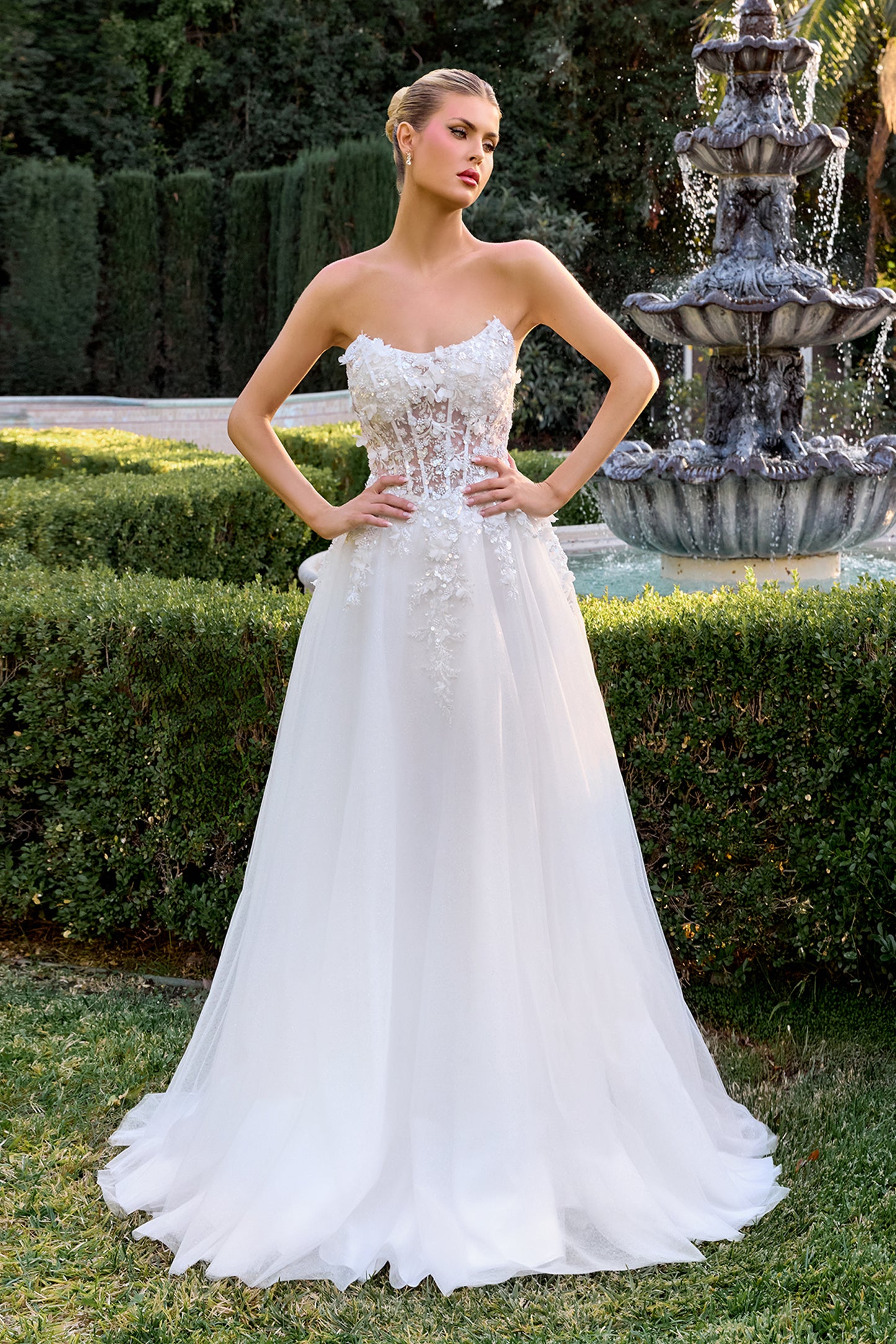 Cinderella Divine C174W