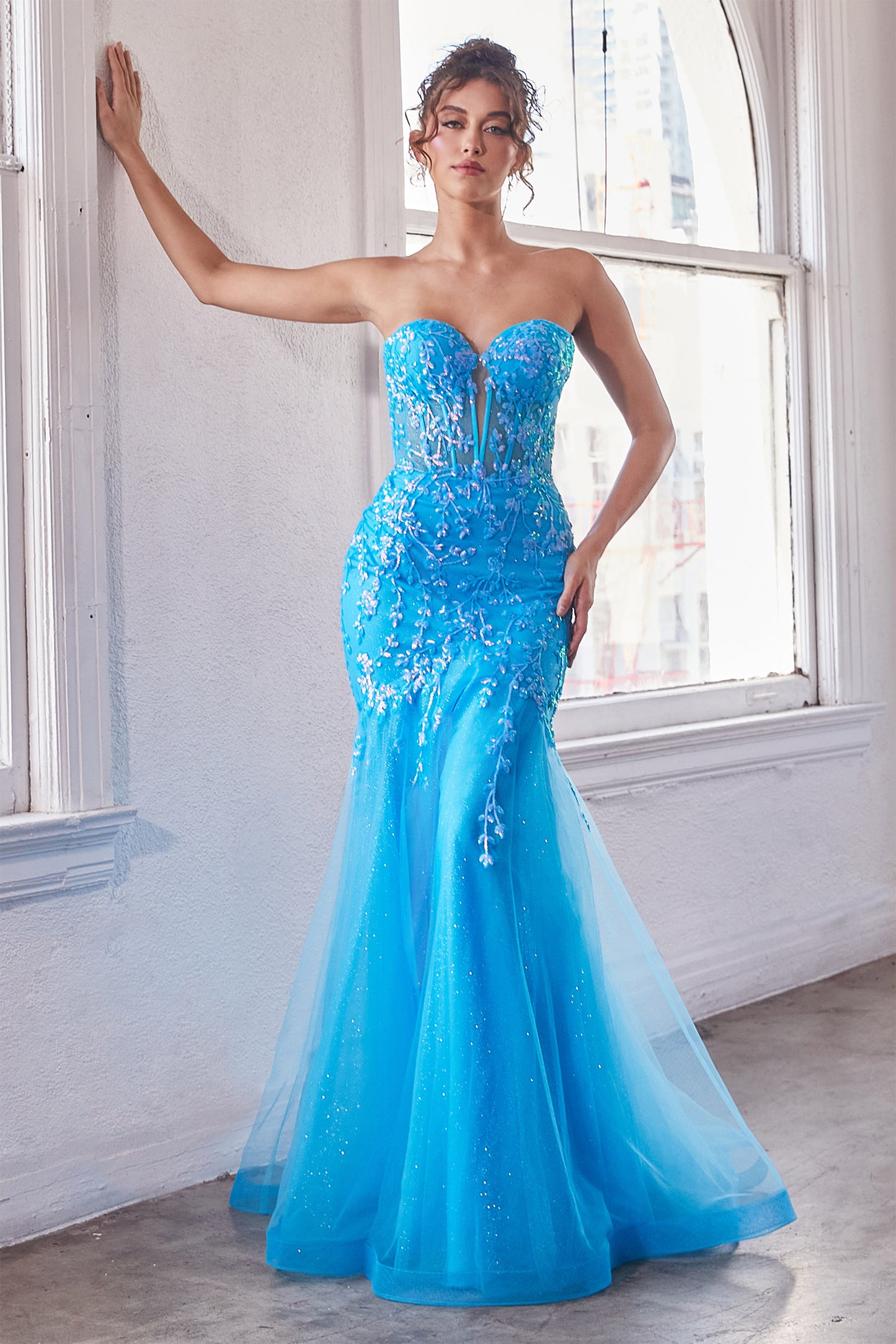 Cinderella Divine CB139 B Chic Fashions Long Dress Evening Gowns