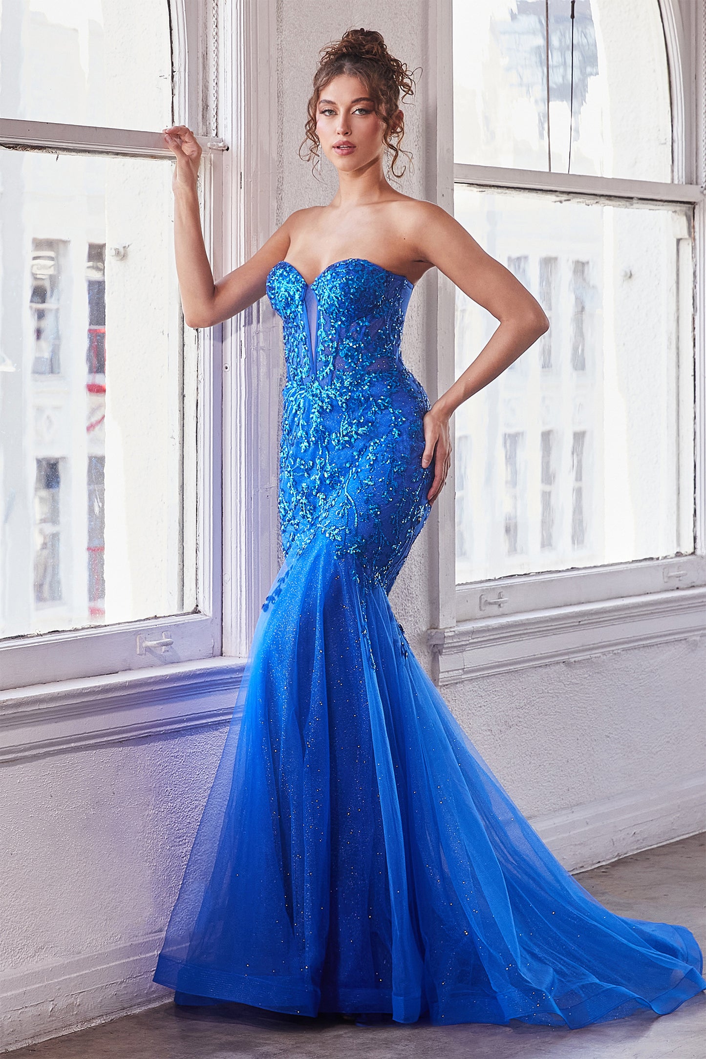 Cinderella Divine CB139 B Chic Fashions Long Dress Evening Gowns
