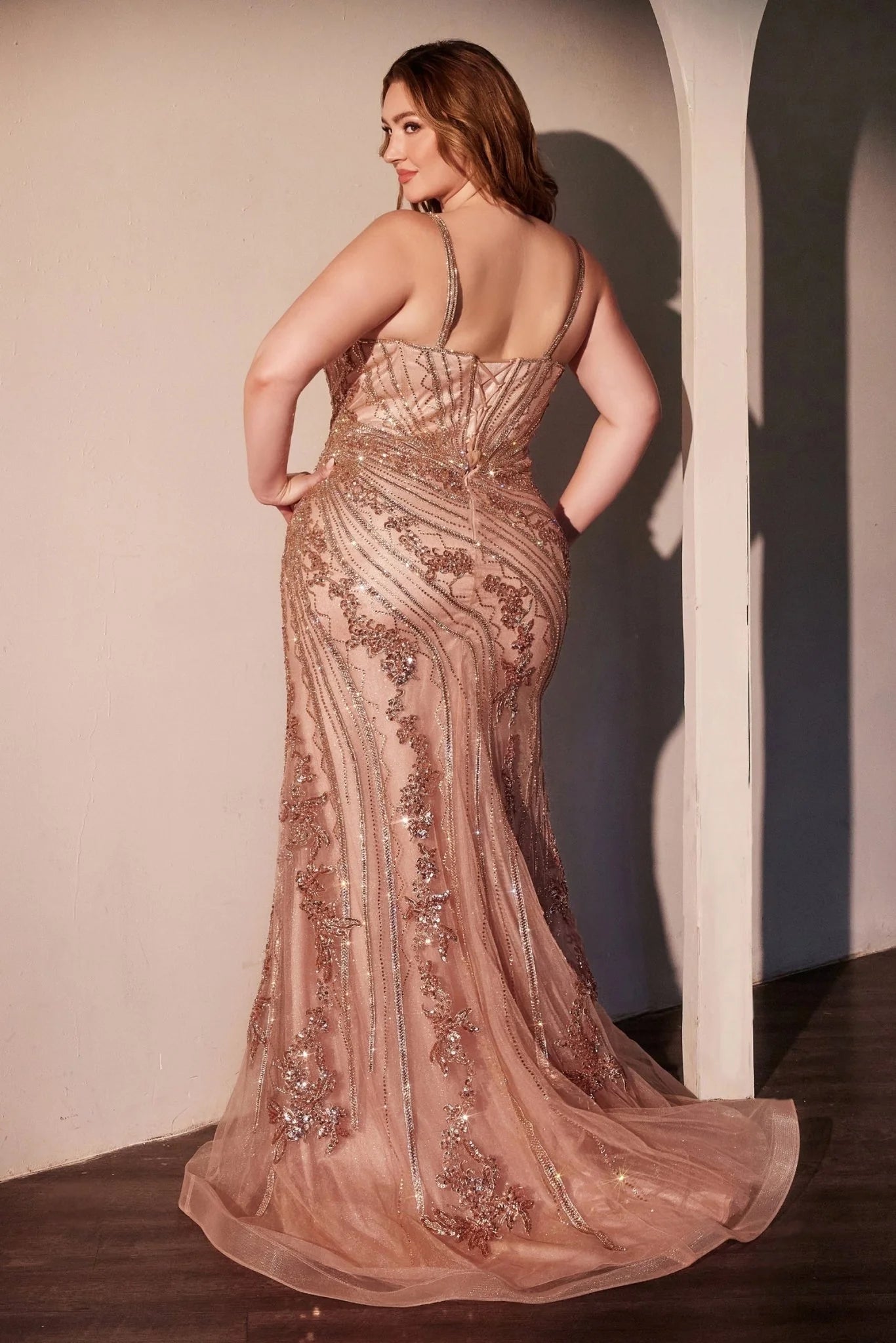 Cinderella Divine CC0389C