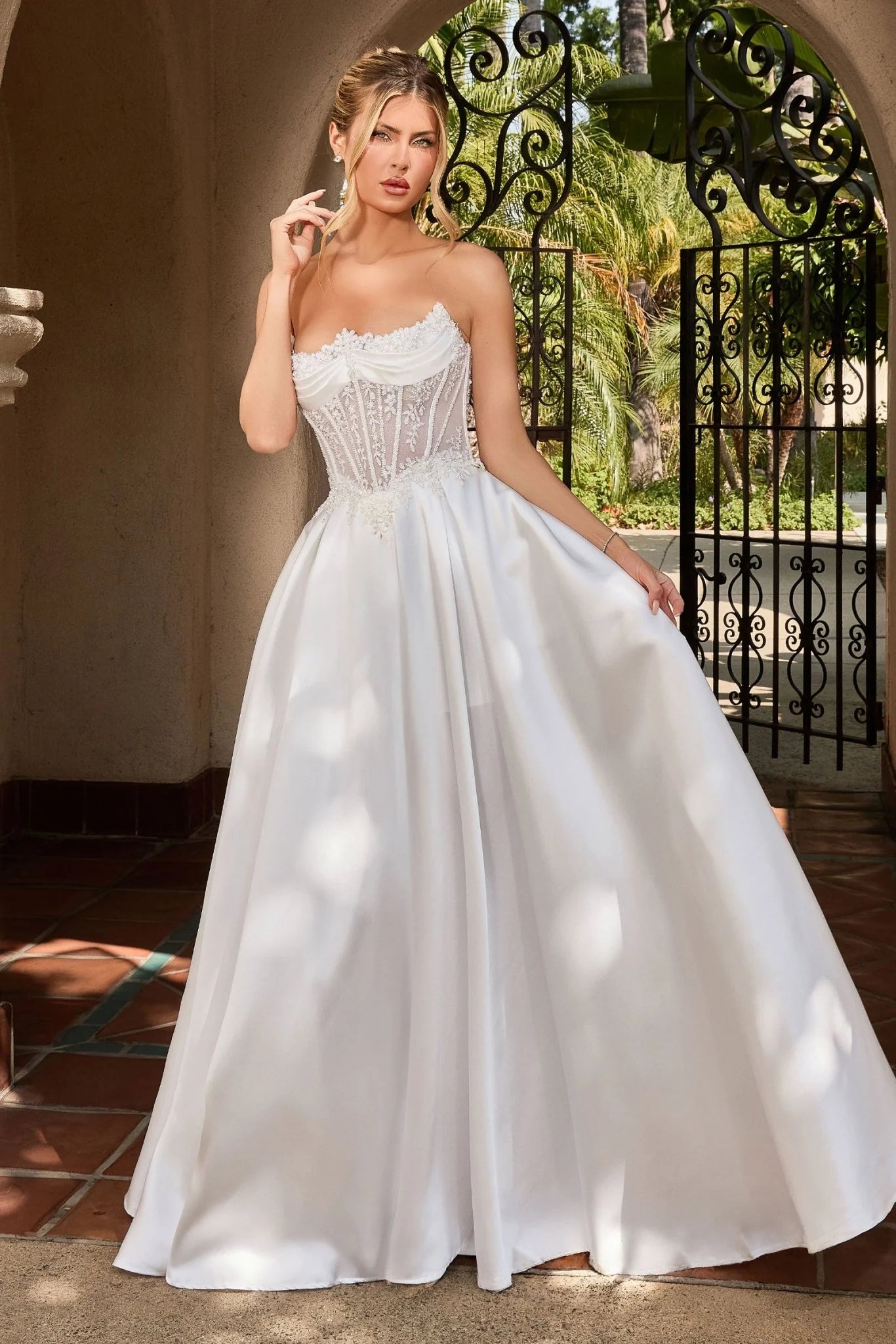 Cinderella Divine CC511W
