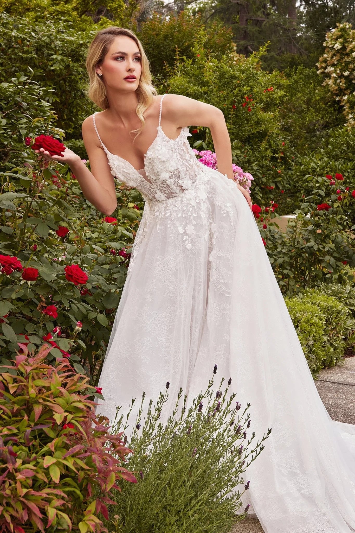 Andrea and Leo CD857W