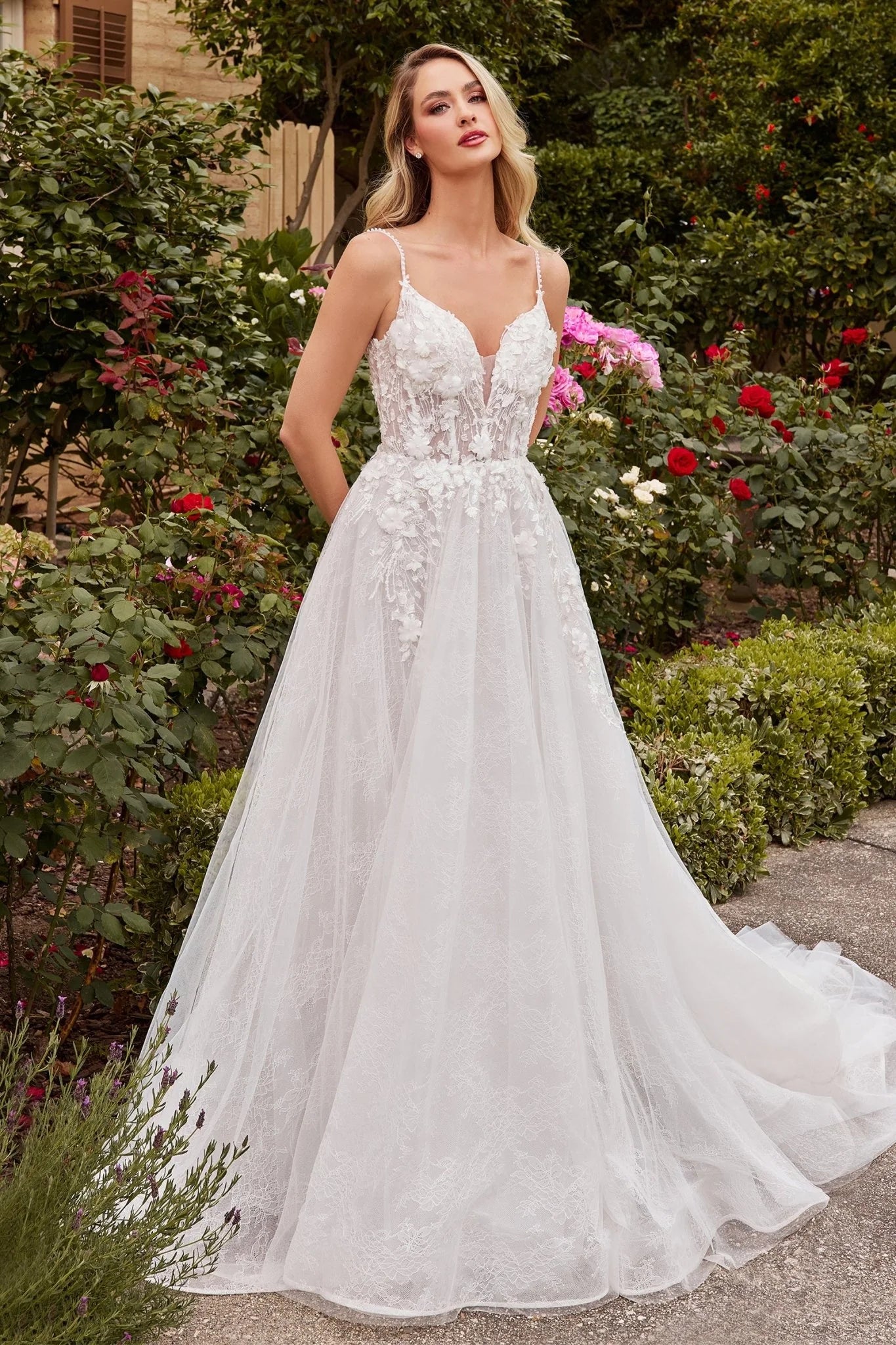 Andrea and Leo CD857W