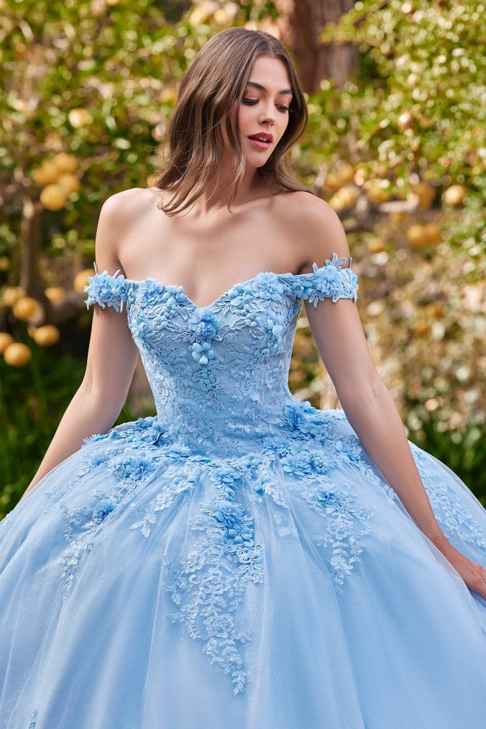 Cinderella Divine 15702
