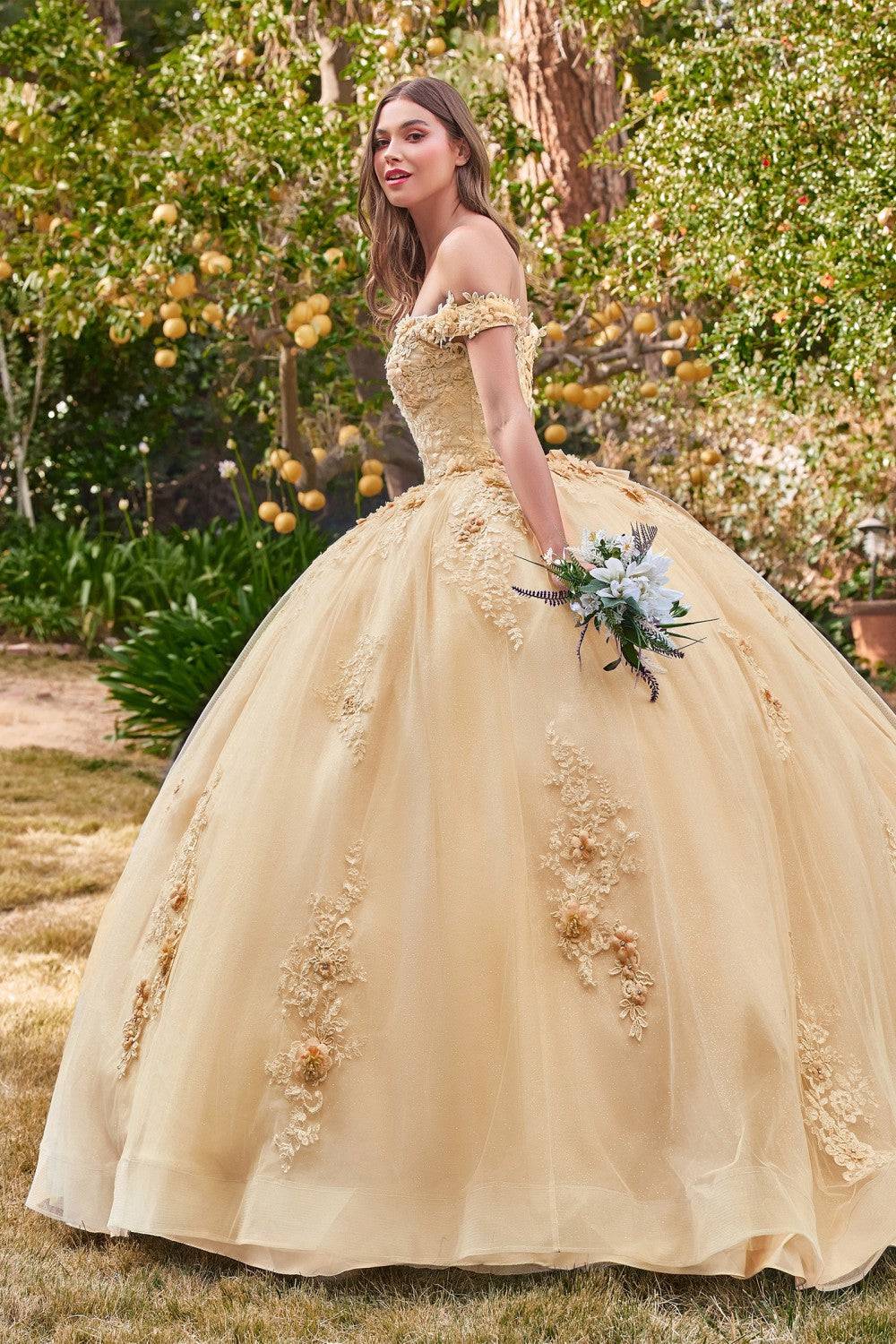 Cinderella Divine 15702