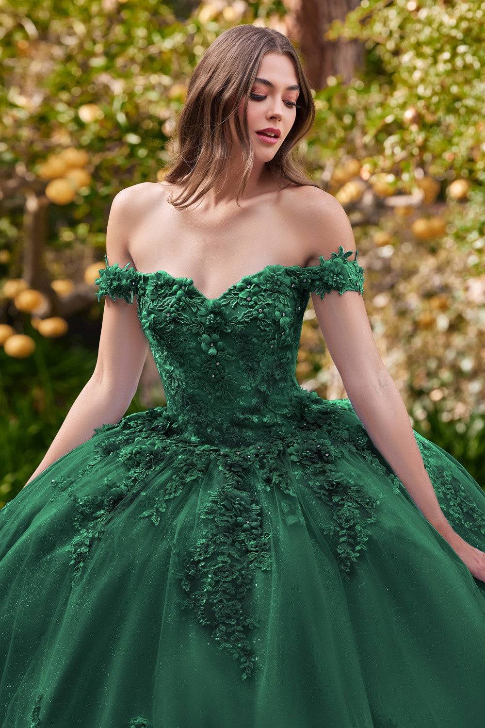 Cinderella Divine 15702