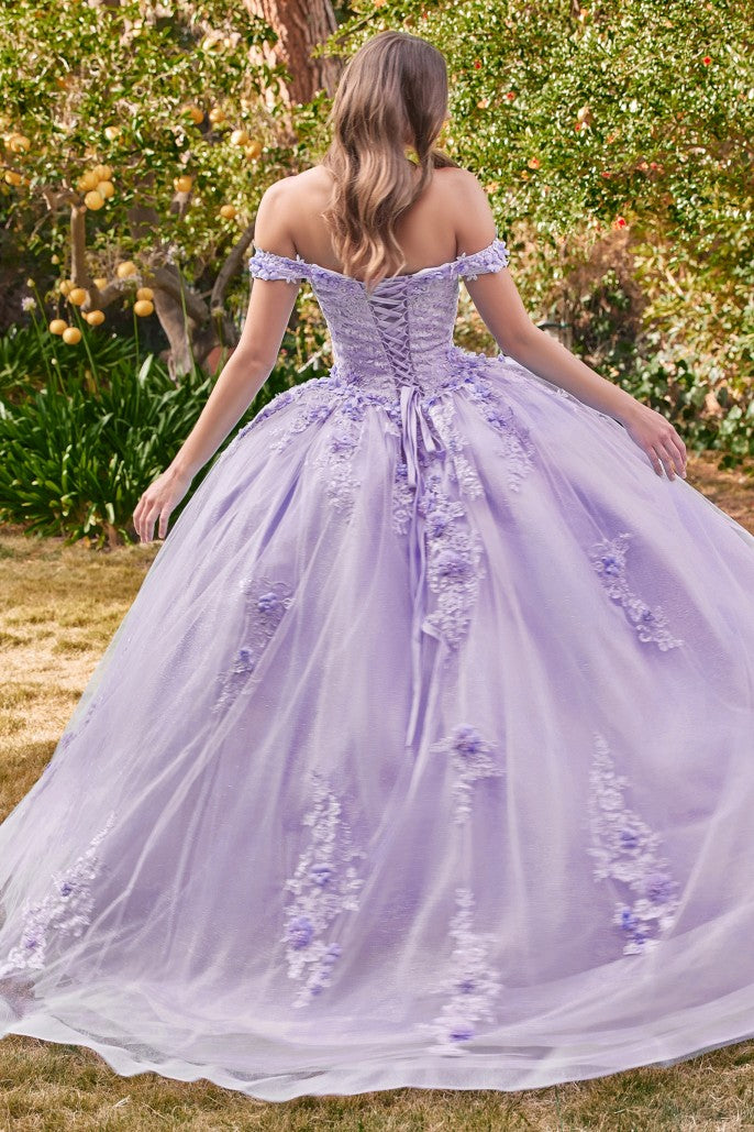 Cinderella Divine 15702