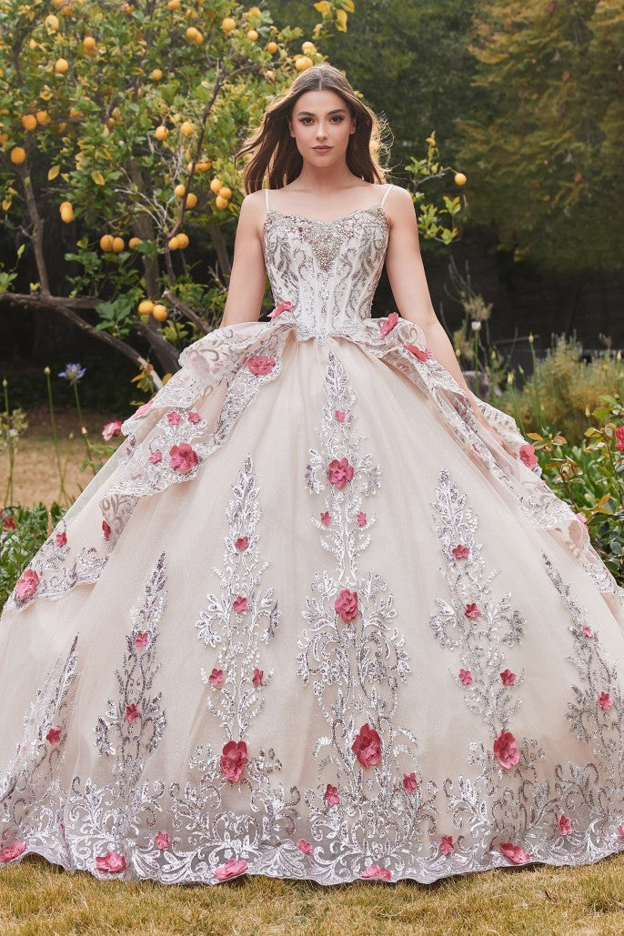 Cinderella Divine 15703
