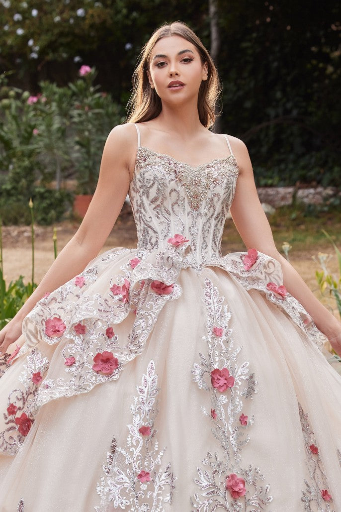 Cinderella Divine 15703