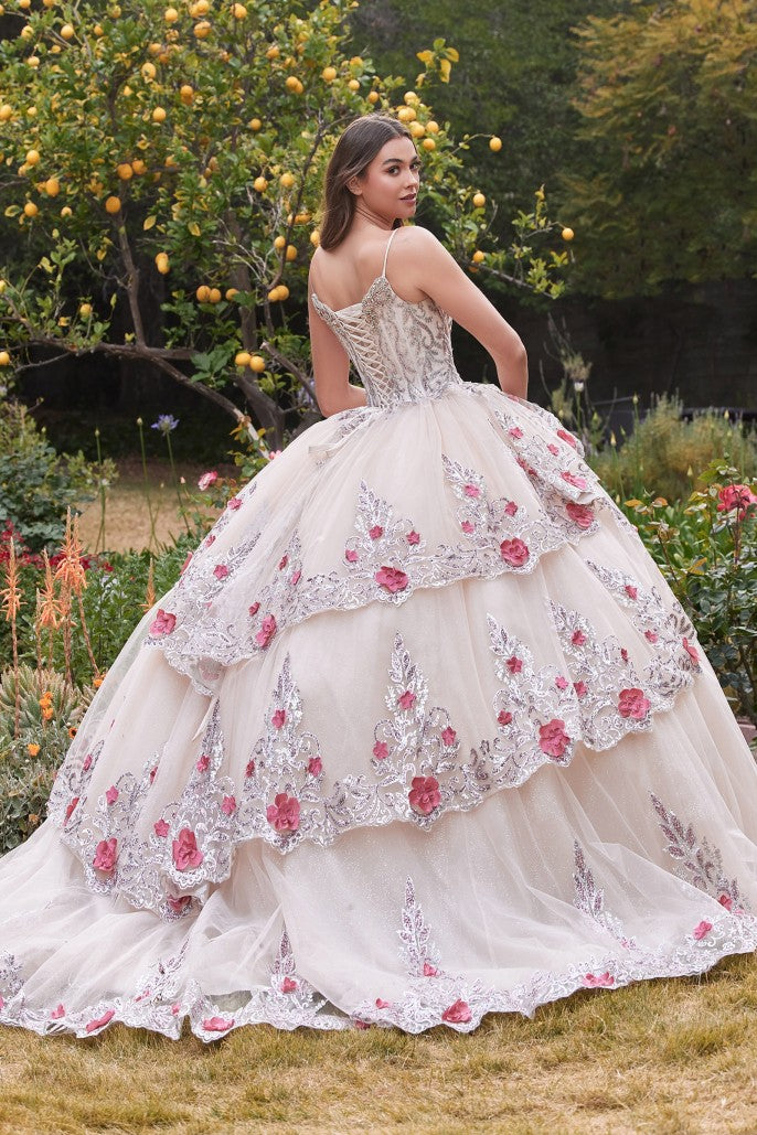 Cinderella Divine 15703