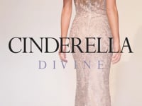 Cinderella Divine HT074