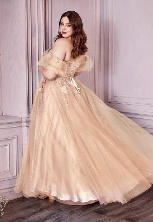 Cinderella Divine CD0191C B Chic Fashions Long Dress Evening Gowns