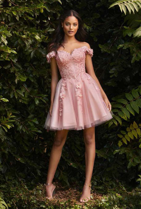 Cinderella Divine CD0194 – B Chic Fashions