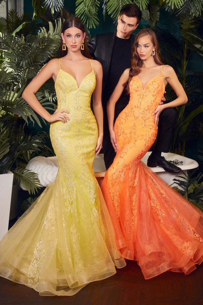 Cinderella Divine CC2279 B Chic Fashions Long Dress Evening Gowns